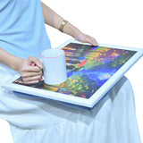 Artistic Paint Bean Bag Lap Tray: Perfect for TV Dinners and Breakfast in Bed